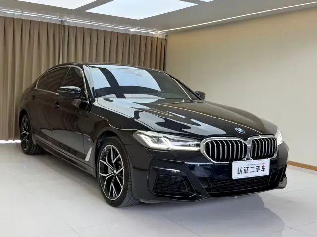 BMW 5 Series — Фото автомобиля 10