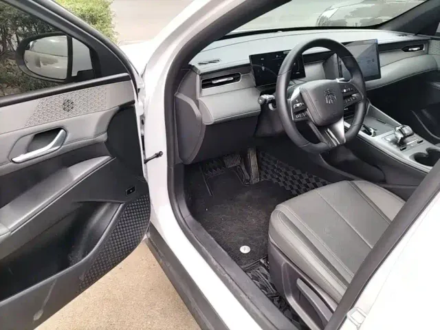 BYD Qin PLUS — Фото автомобиля 15