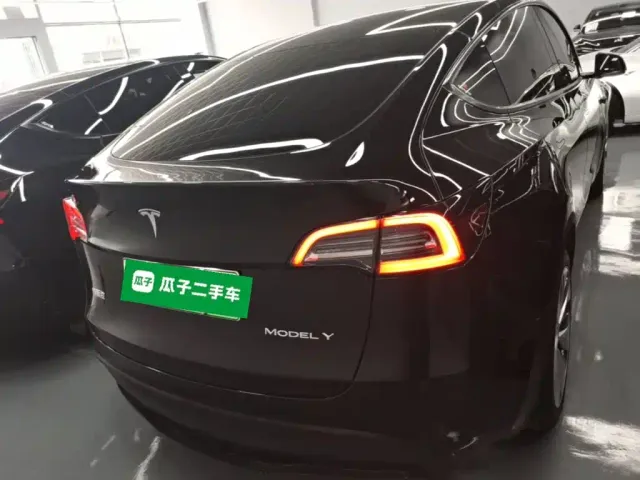 Tesla Model Y — Фото автомобиля 5