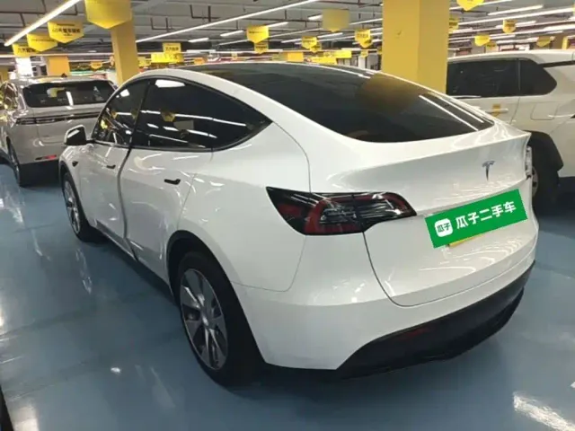 Tesla Model Y — Фото автомобиля 4
