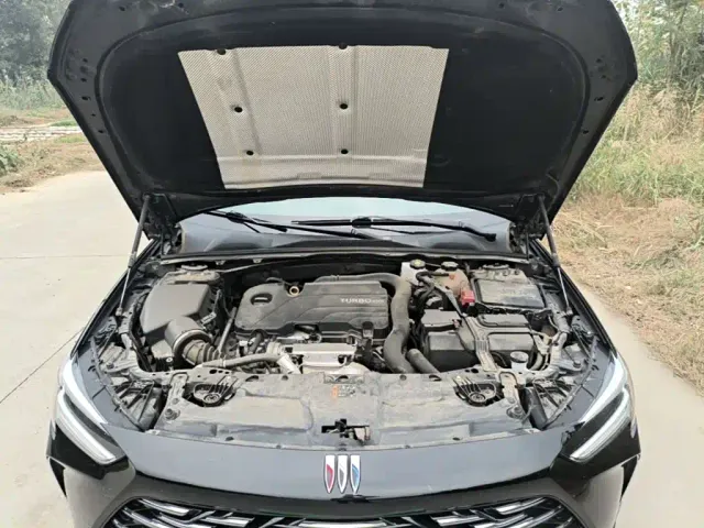 Buick Regal — Фото автомобиля 19