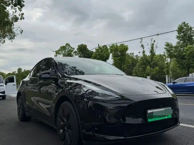 Tesla Model Y — Фото автомобиля 3