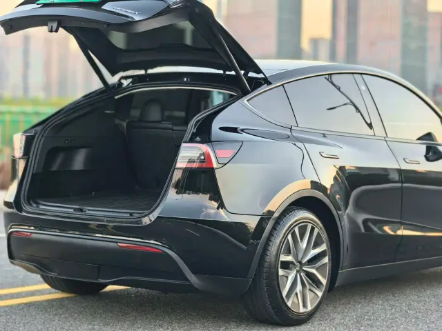 Tesla Model Y — Фото автомобиля 12
