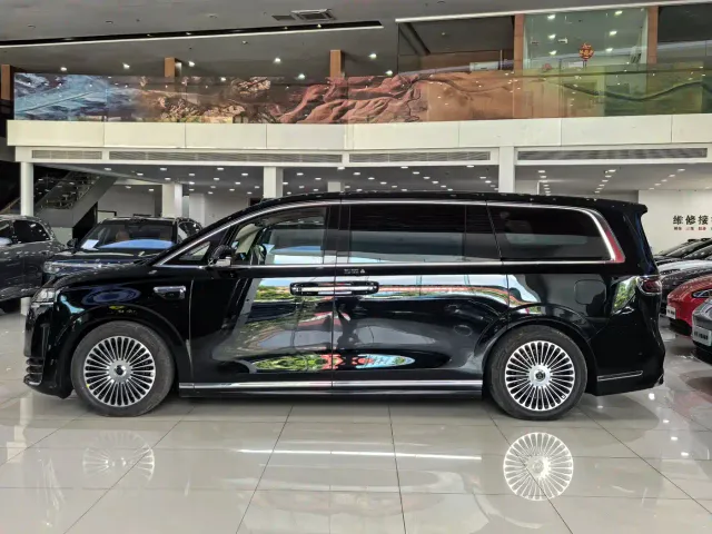 Luxeed Zunjie MPV — Фото автомобиля 5