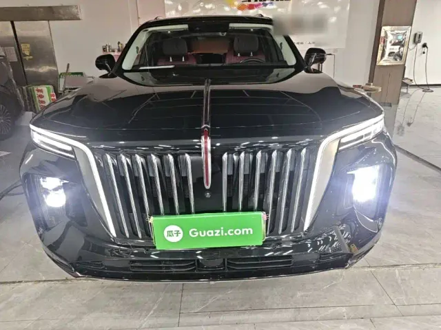 Hongqi E-HS9 — Фото автомобиля 2