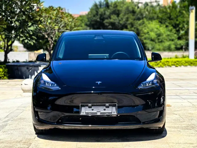 Tesla Model Y — Фото автомобиля 2