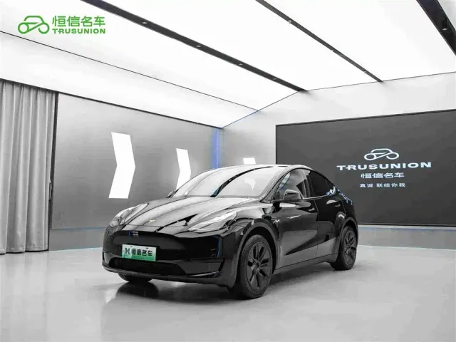 Tesla Model Y — Фото автомобиля 3
