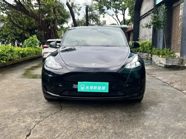 Tesla Model Y — Фото автомобиля 2
