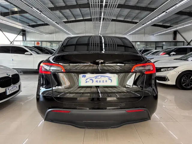Tesla Model Y — Фото автомобиля 4