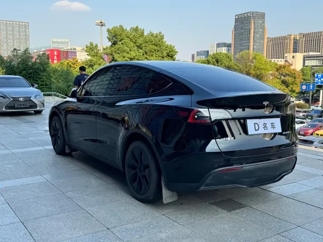 Tesla Model Y — Фото автомобиля 9