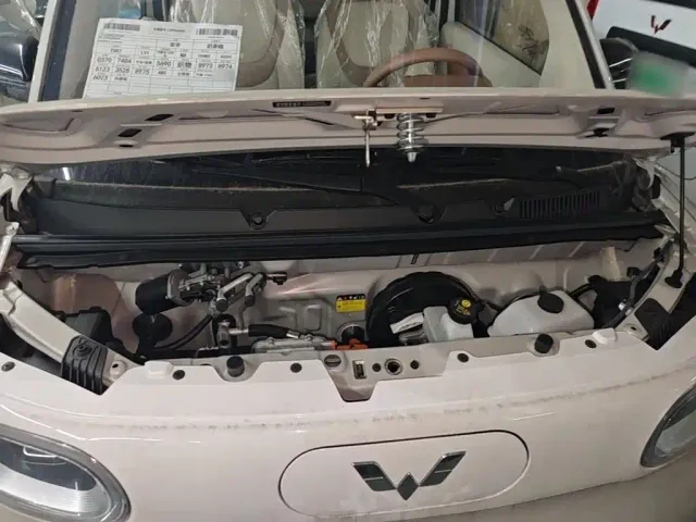 Wuling Hongguang Mini EV — Фото автомобиля 19