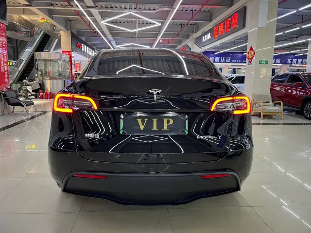 Tesla Model Y — Фото автомобиля 11
