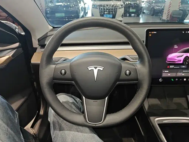 Tesla Model 3 — Фото автомобиля 10