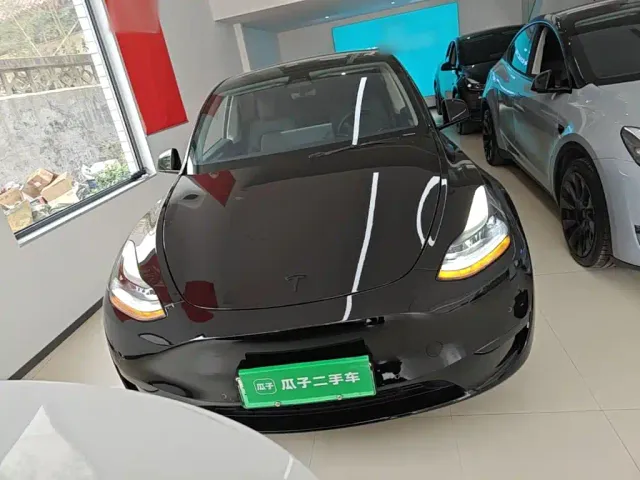 Tesla Model Y — Фото автомобиля 2