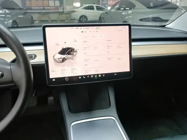 Tesla Model 3 — Фото автомобиля 12