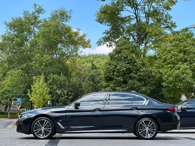 BMW 5 Series — Фото автомобиля 10