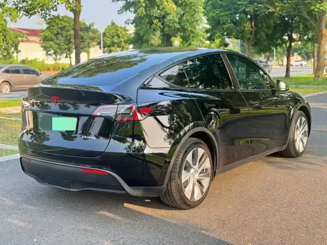 Tesla Model Y — Фото автомобиля 3