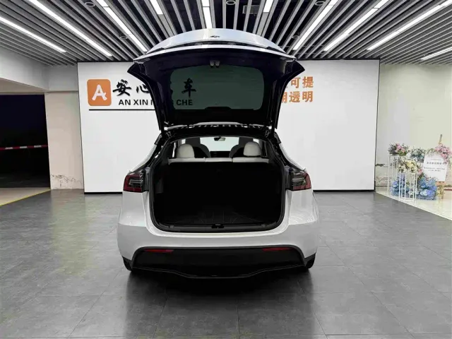 Tesla Model Y — Фото автомобиля 18