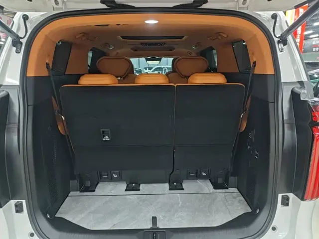Wey Alpine — Фото автомобиля 18