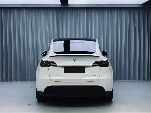 Tesla Model Y — Фото автомобиля 16