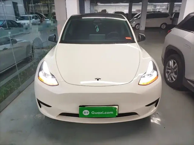 Tesla Model Y — Фото автомобиля 2
