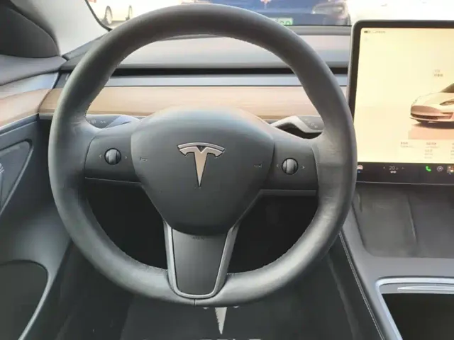 Tesla Model 3 — Фото автомобиля 10