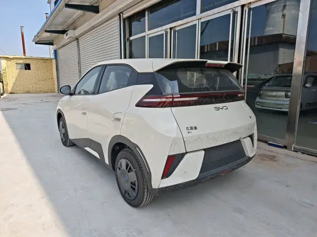 BYD Seagull — Фото автомобиля 4