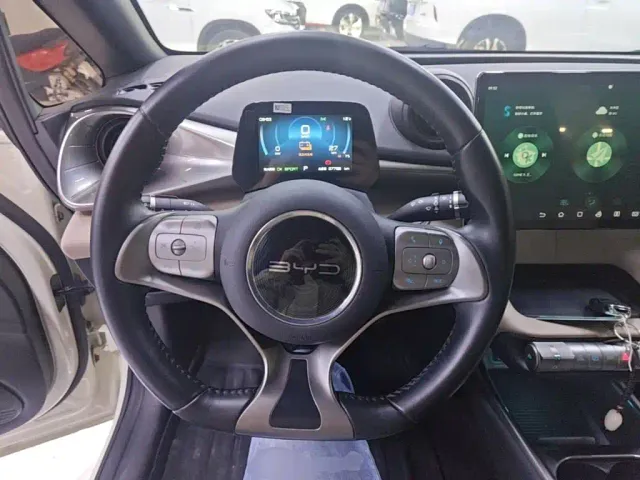 BYD Dolphin — Фото автомобиля 10