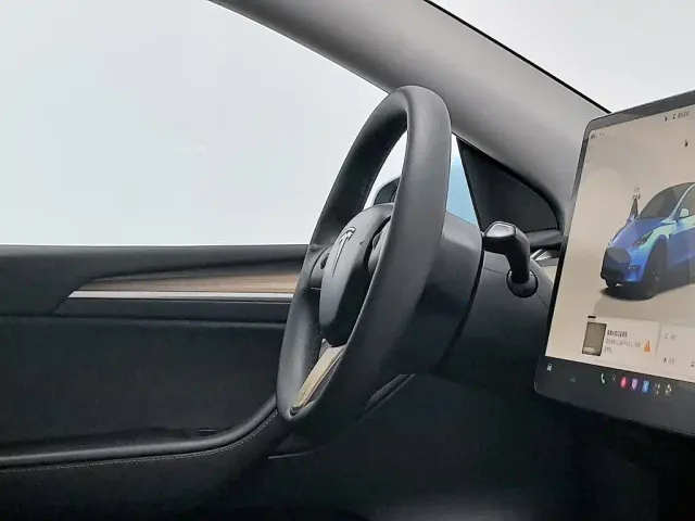 Tesla Model Y — Фото автомобиля 22