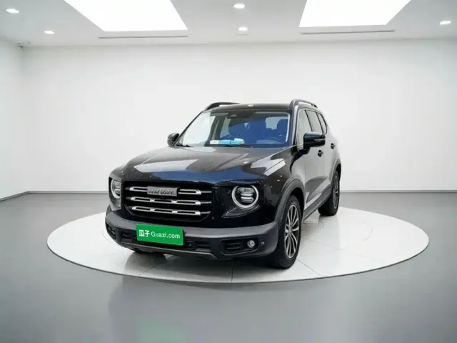 Haval Haval Big Dog 2022 1.5T DCT FWD Border Collie Edition — Фото автомобиля 22