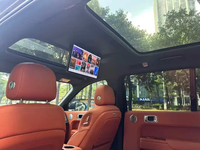 Li Auto L9 — Фото автомобиля 14