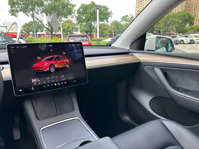 Tesla Model Y — Фото автомобиля 22