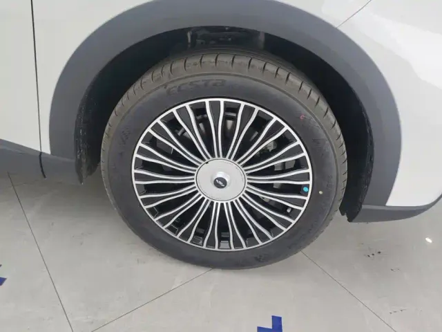 Chery Fulwin T9 — Фото автомобиля 6