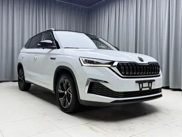 Skoda Kamiq — Фото автомобиля 3