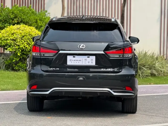 Lexus RX — Фото автомобиля 14