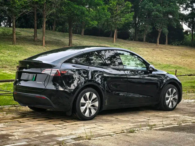 Tesla Model Y — Фото автомобиля 3