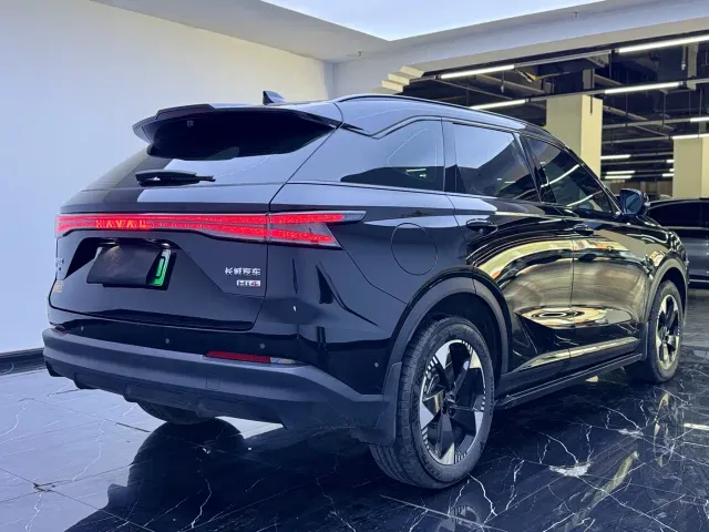 Haval Xiaolong MAX — Фото автомобиля 14