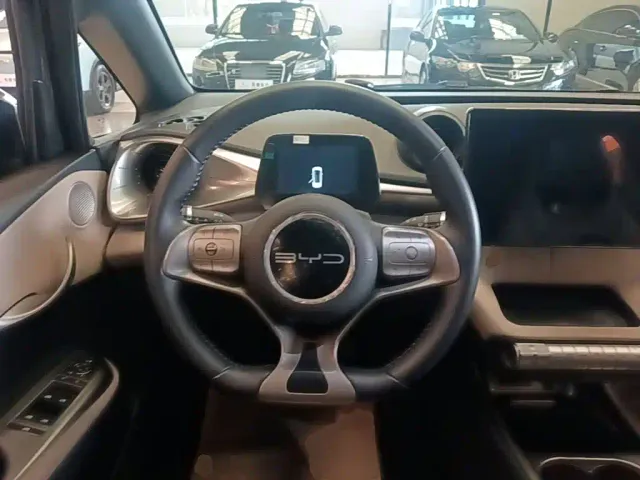 BYD Dolphin — Фото автомобиля 10