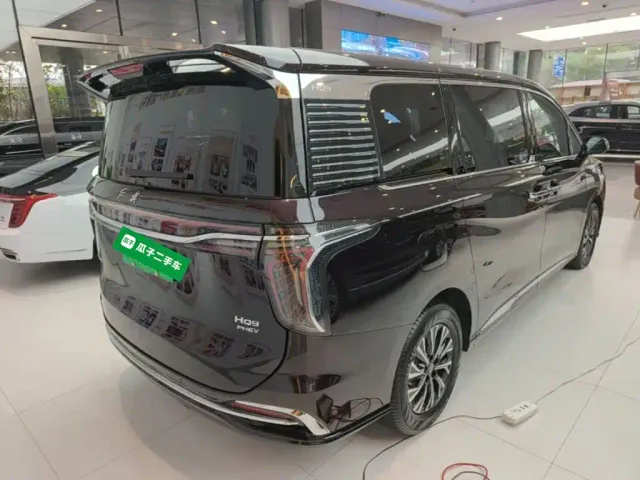 Hongqi HQ9 PHEV — Фото автомобиля 6