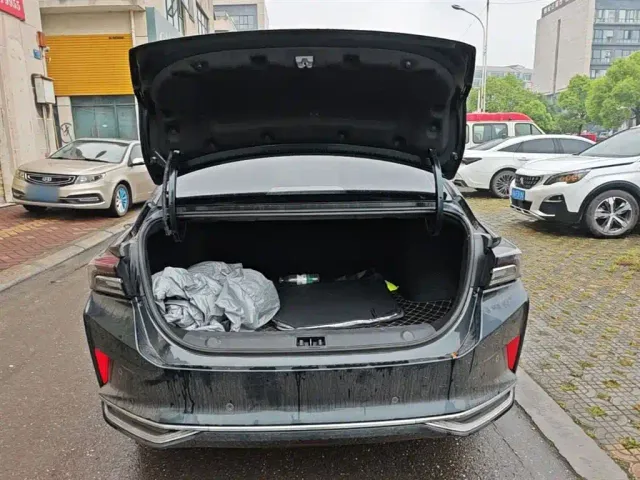 Dongfeng Yixuan MAX — Фото автомобиля 17