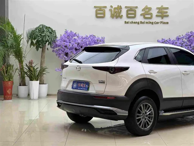 Mazda Mazda CX-30 EV 2021 Pure Electric Enjoyment Edition — Фото автомобиля 6