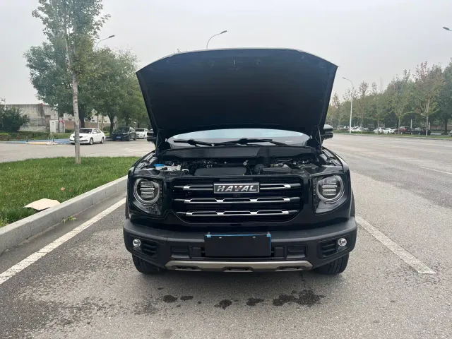 Haval Haval Big Dog 2022 1.5T DCT FWD Labrador Edition — Фото автомобиля 17