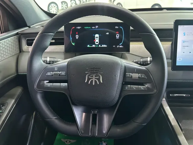 BYD Qin PLUS — Фото автомобиля 12