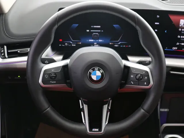 BMW X1 — Фото автомобиля 11