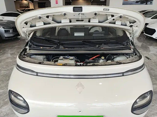 Baojun Baojun Cloud 2023 460 Max — Фото автомобиля 19
