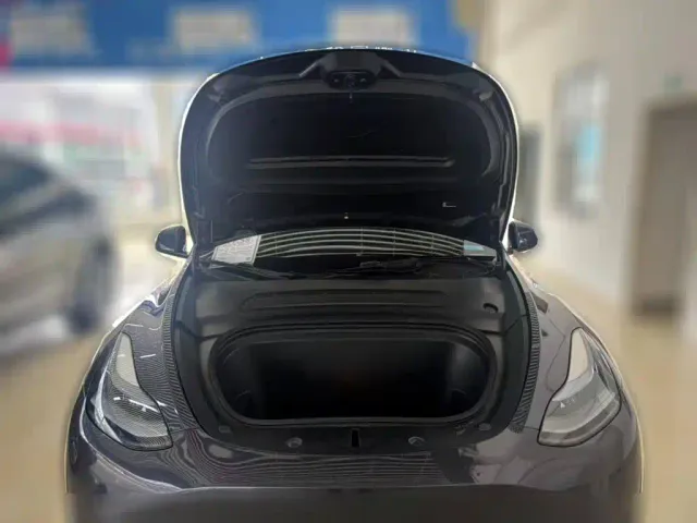 Tesla Model Y — Фото автомобиля 3