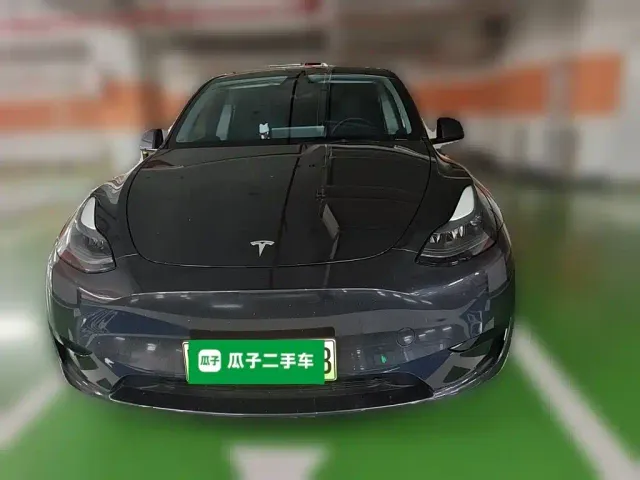 Tesla Model Y — Фото автомобиля 2