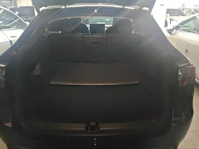 Tesla Model Y — Фото автомобиля 4