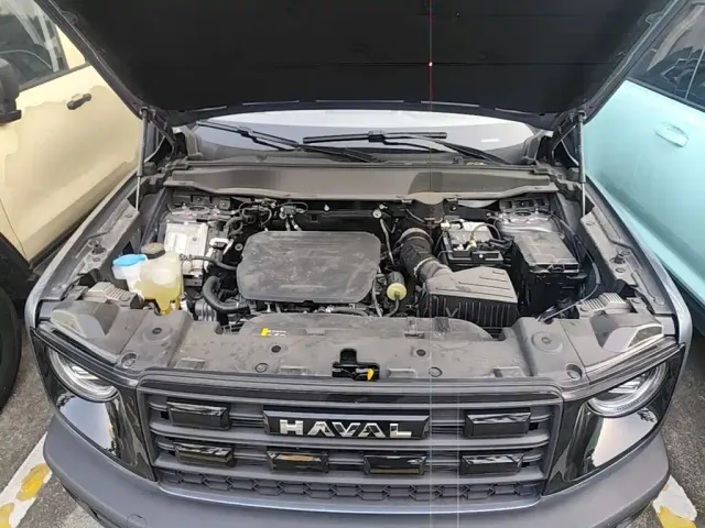 Haval Big Dog — Фото автомобиля 24