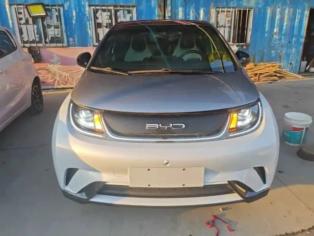BYD Dolphin 2021 Model 405km Fashion Edition — Фото автомобиля 2